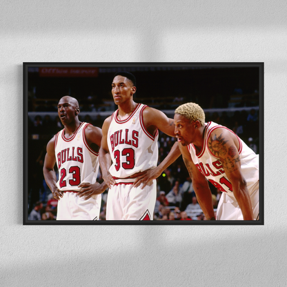 96 Bulls 72-10