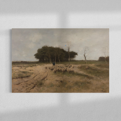 Heide bij Laren