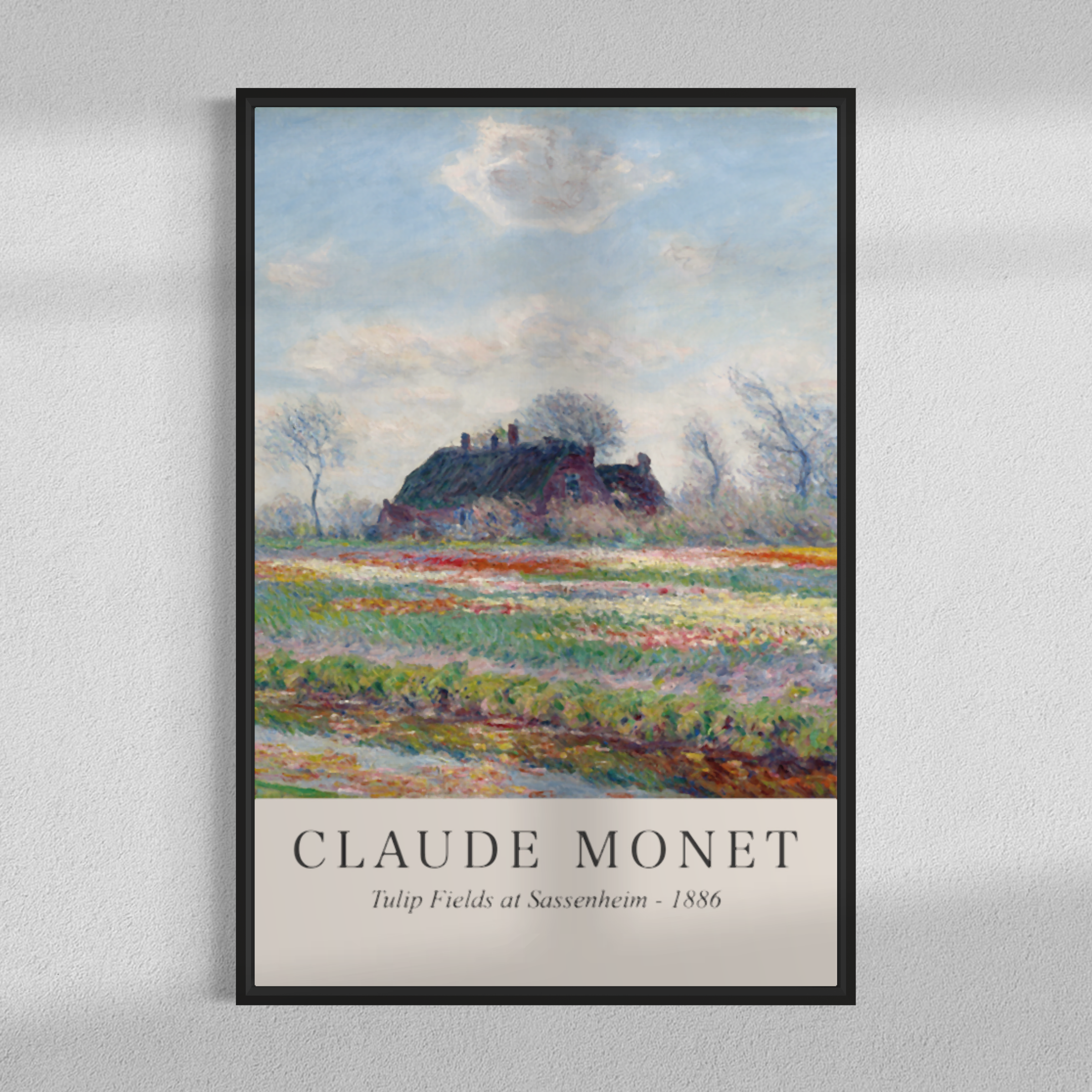 Tulip fields at Sussenheim