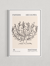 Matisse – Arbre Botanique, Affiche Minimaliste