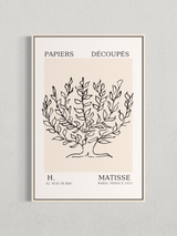 Matisse – Arbre Botanique, Affiche Minimaliste